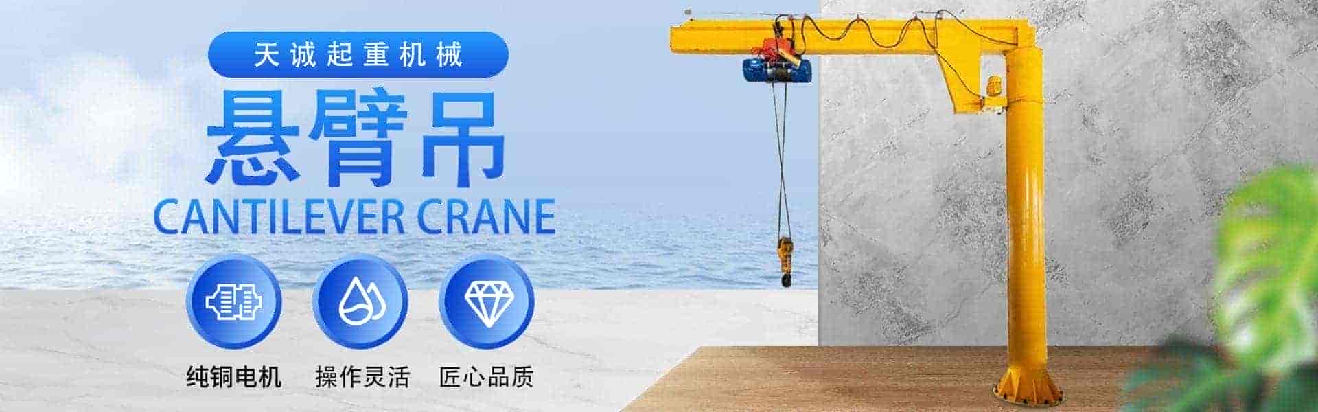 新泰市天诚起重机械有限公司